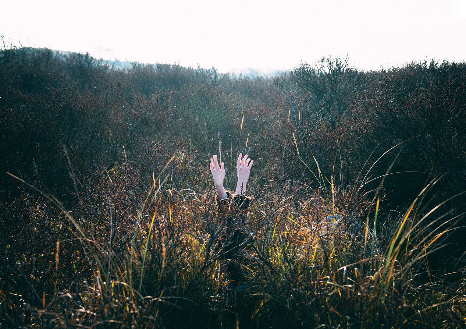 An Elegy