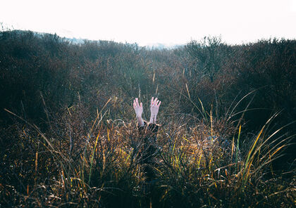 Artist in Residence Oranjewoud Festival