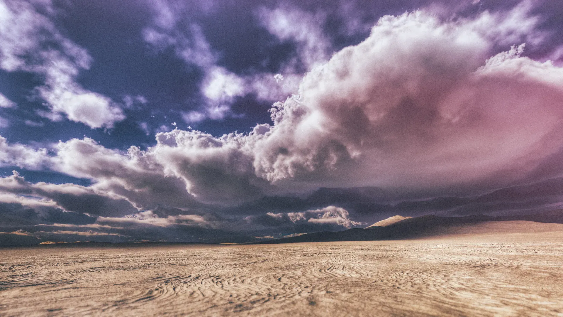 The Desert Music